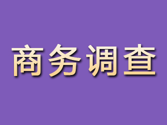 广饶商务调查